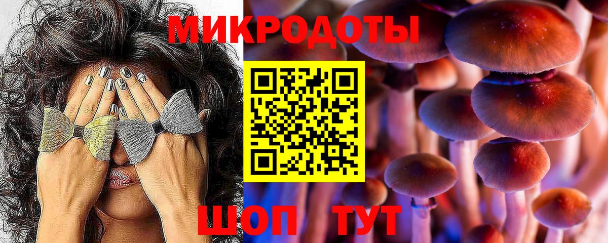 Галлюциногенные грибы Cubensis Избербаш